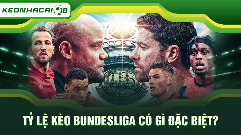 Tỷ lệ kèo Bundesliga có gì đặc biệt?